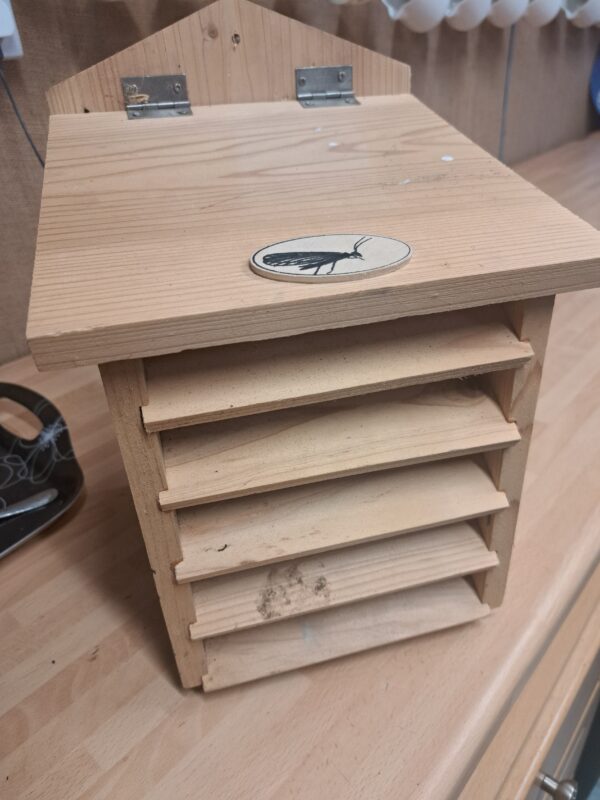 LACEWING HIBERNATION CHAMBER - £26.00